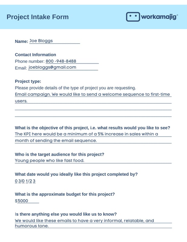 Project Intake Form Explained   Free Template and Examples